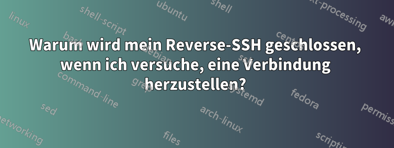 Warum wird mein Reverse-SSH geschlossen, wenn ich versuche, eine Verbindung herzustellen?