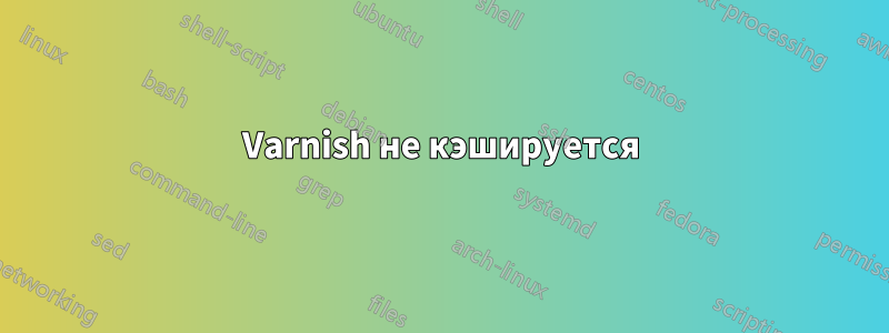 Varnish не кэшируется