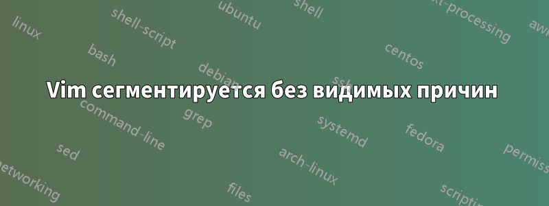 Vim сегментируется без видимых причин