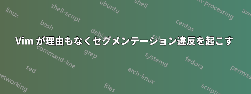 Vim が理由もなくセグメンテーション違反を起こす