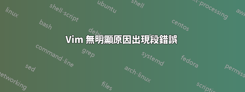 Vim 無明顯原因出現段錯誤