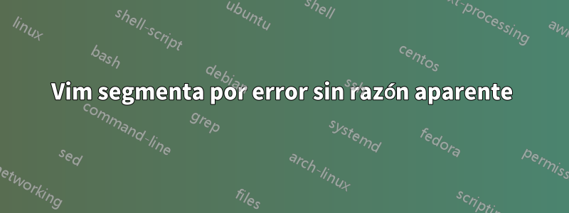 Vim segmenta por error sin razón aparente