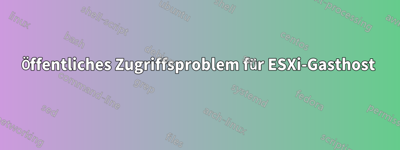 Öffentliches Zugriffsproblem für ESXi-Gasthost