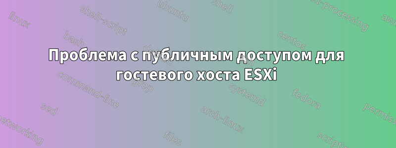 Проблема с публичным доступом для гостевого хоста ESXi