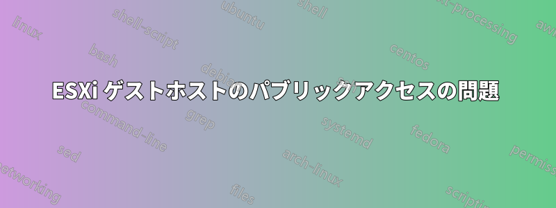 ESXi ゲストホストのパブリックアクセスの問題