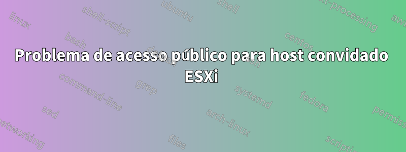 Problema de acesso público para host convidado ESXi