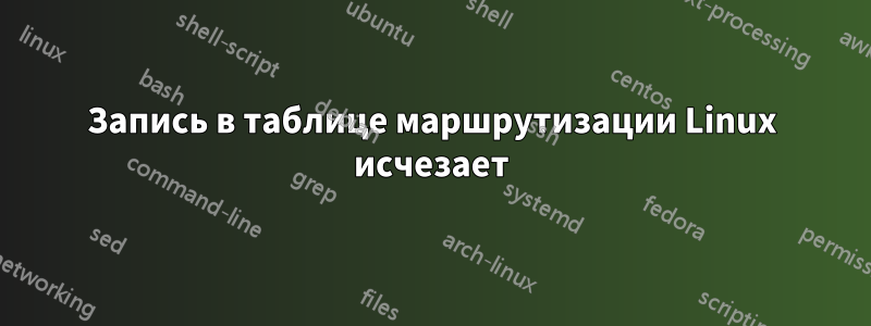 Запись в таблице маршрутизации Linux исчезает