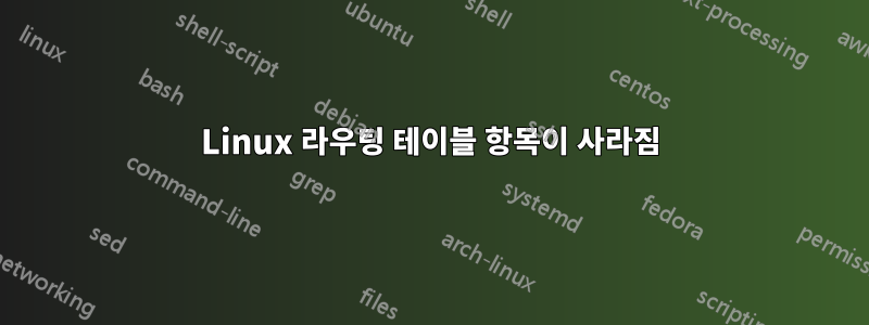 Linux 라우팅 테이블 항목이 사라짐