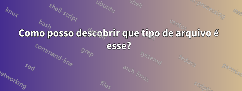 Como posso descobrir que tipo de arquivo é esse? 