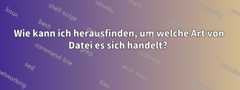 Wie kann ich herausfinden, um welche Art von Datei es sich handelt? 