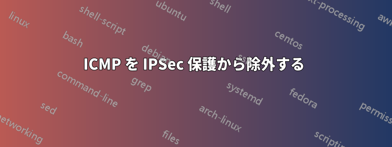 ICMP を IPSec 保護から除外する