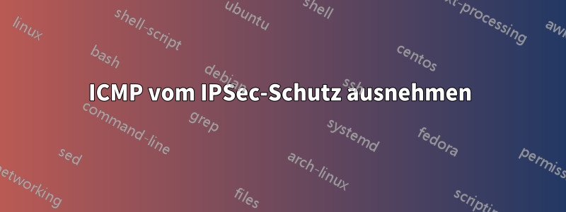 ICMP vom IPSec-Schutz ausnehmen