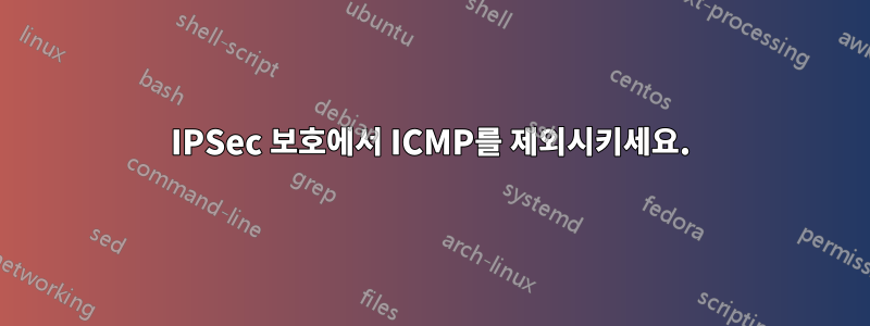 IPSec 보호에서 ICMP를 제외시키세요.