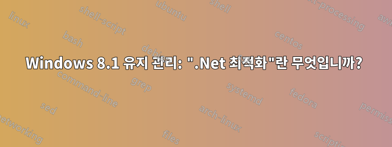 Windows 8.1 유지 관리: ".Net 최적화"란 무엇입니까?