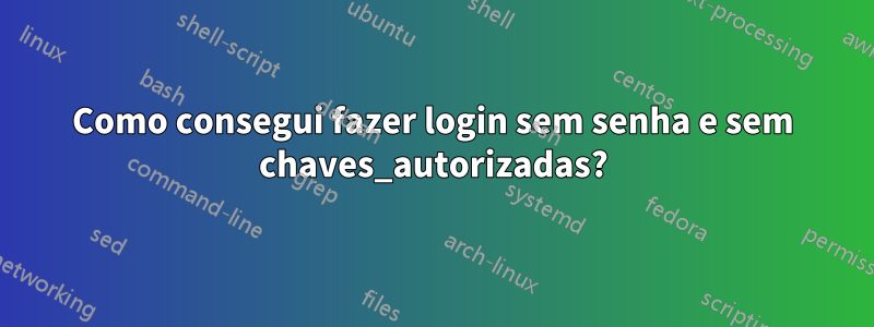 Como consegui fazer login sem senha e sem chaves_autorizadas?