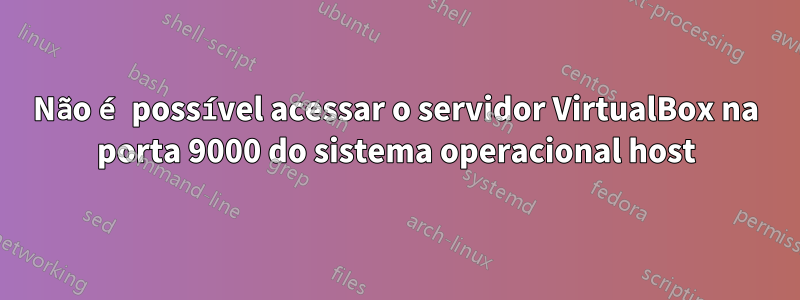 Não é possível acessar o servidor VirtualBox na porta 9000 do sistema operacional host