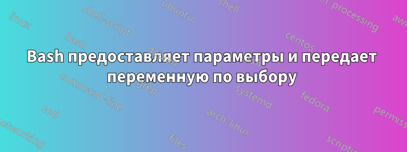 Bash предоставляет параметры и передает переменную по выбору