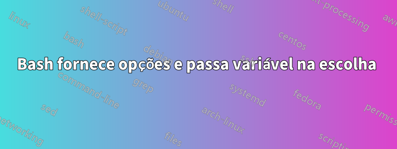 Bash fornece opções e passa variável na escolha