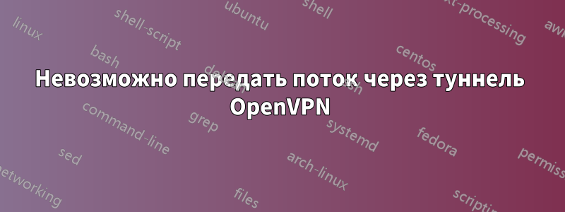 Невозможно передать поток через туннель OpenVPN