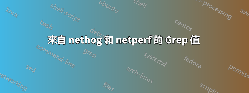 來自 nethog 和 netperf 的 Grep 值