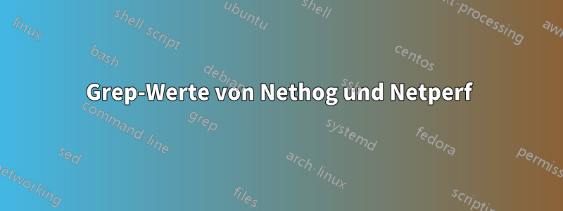 Grep-Werte von Nethog und Netperf