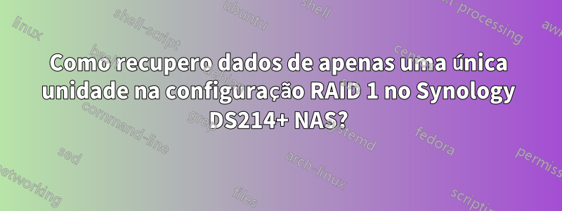 Como recupero dados de apenas uma única unidade na configuração RAID 1 no Synology DS214+ NAS?