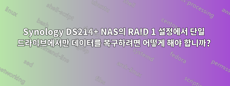 Synology DS214+ NAS의 RAID 1 설정에서 단일 드라이브에서만 데이터를 복구하려면 어떻게 해야 합니까?