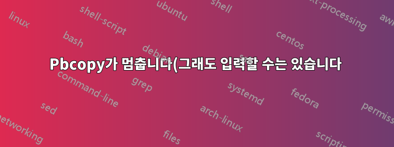 Pbcopy가 멈춥니다(그래도 입력할 수는 있습니다).