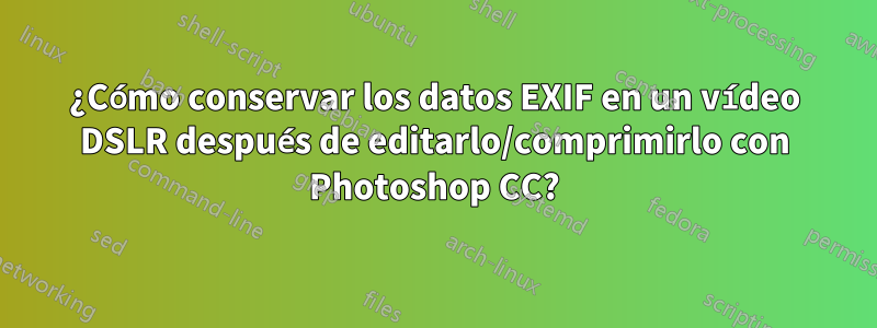 ¿Cómo conservar los datos EXIF ​​en un vídeo DSLR después de editarlo/comprimirlo con Photoshop CC?