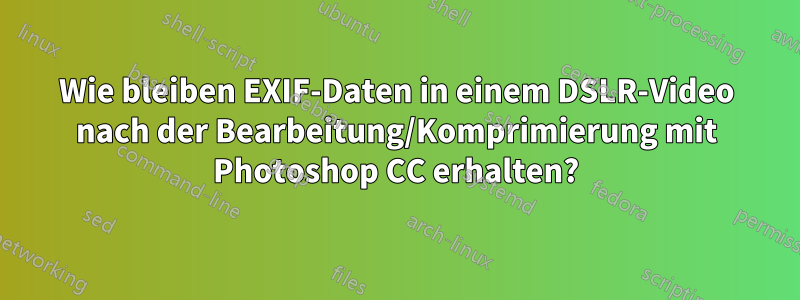 Wie bleiben EXIF-Daten in einem DSLR-Video nach der Bearbeitung/Komprimierung mit Photoshop CC erhalten?