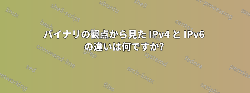 バイナリの観点から見た IPv4 と IPv6 の違いは何ですか?