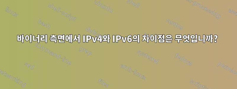 바이너리 측면에서 IPv4와 IPv6의 차이점은 무엇입니까?