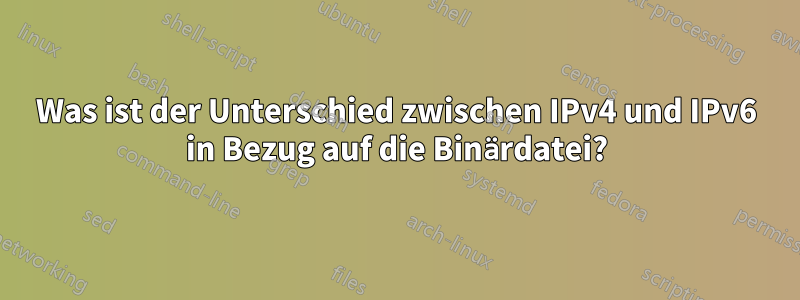 Was ist der Unterschied zwischen IPv4 und IPv6 in Bezug auf die Binärdatei?