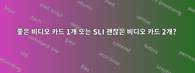 좋은 비디오 카드 1개 또는 SLI 괜찮은 비디오 카드 2개?