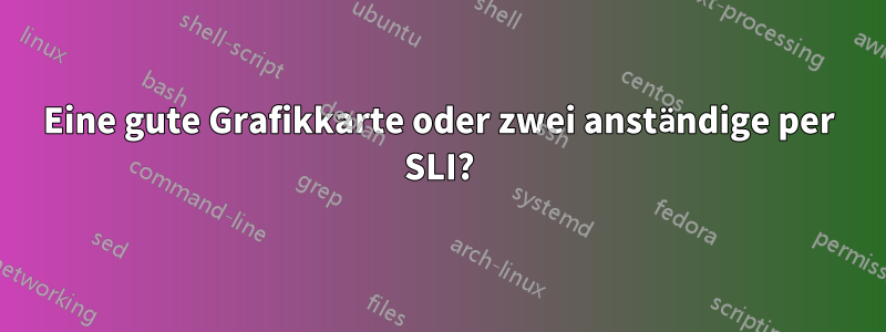 Eine gute Grafikkarte oder zwei anständige per SLI?