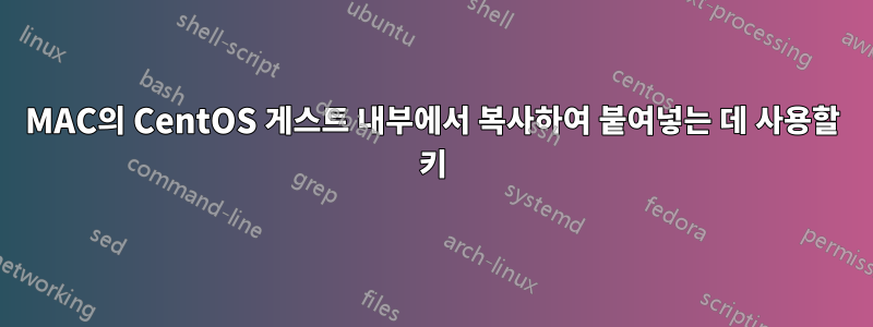 MAC의 CentOS 게스트 내부에서 복사하여 붙여넣는 데 사용할 키