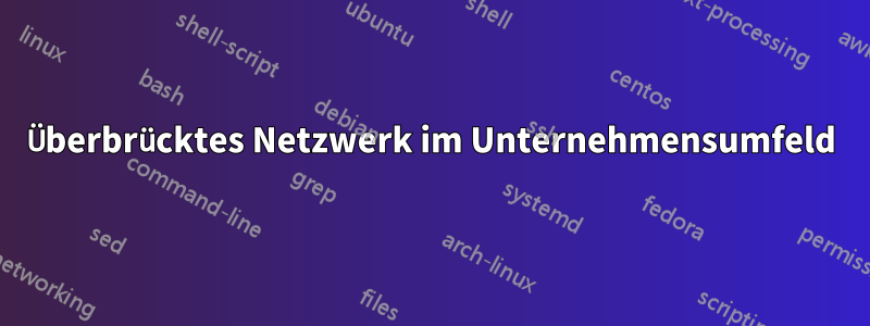 Überbrücktes Netzwerk im Unternehmensumfeld