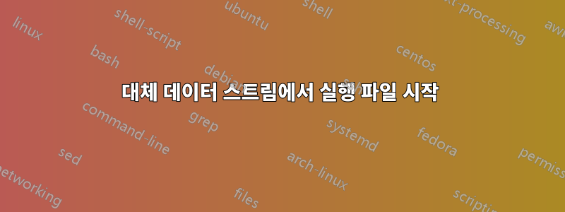 대체 데이터 스트림에서 실행 파일 시작