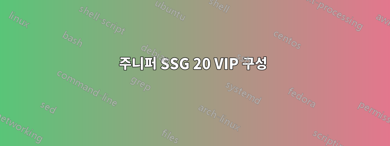 주니퍼 SSG 20 VIP 구성