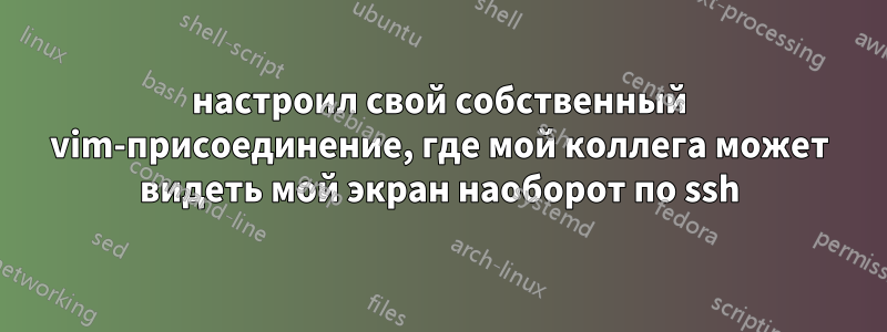 настроил свой собственный vim-присоединение, где мой коллега может видеть мой экран наоборот по ssh