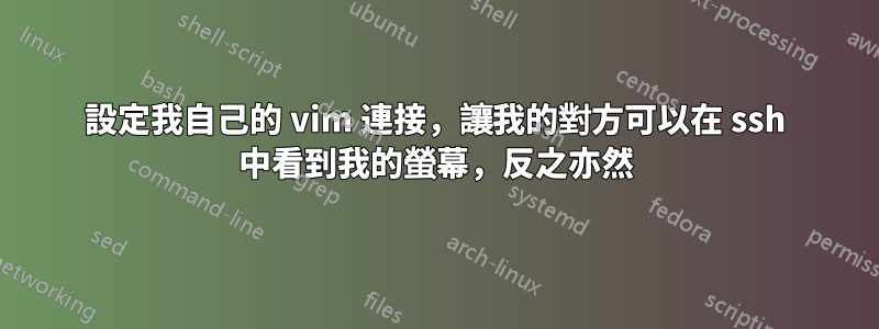 設定我自己的 vim 連接，讓我的對方可以在 ssh 中看到我的螢幕，反之亦然