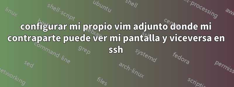configurar mi propio vim adjunto donde mi contraparte puede ver mi pantalla y viceversa en ssh