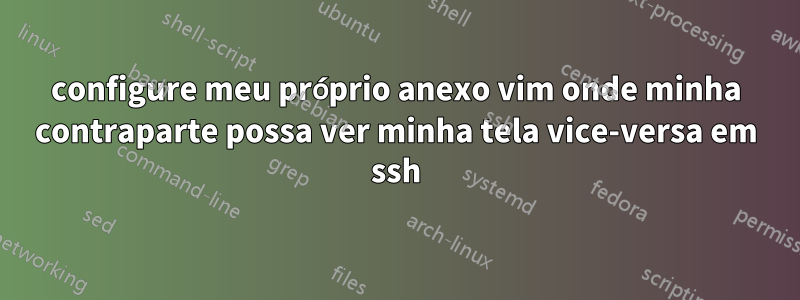 configure meu próprio anexo vim onde minha contraparte possa ver minha tela vice-versa em ssh