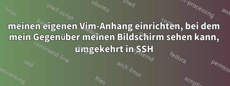 meinen eigenen Vim-Anhang einrichten, bei dem mein Gegenüber meinen Bildschirm sehen kann, umgekehrt in SSH
