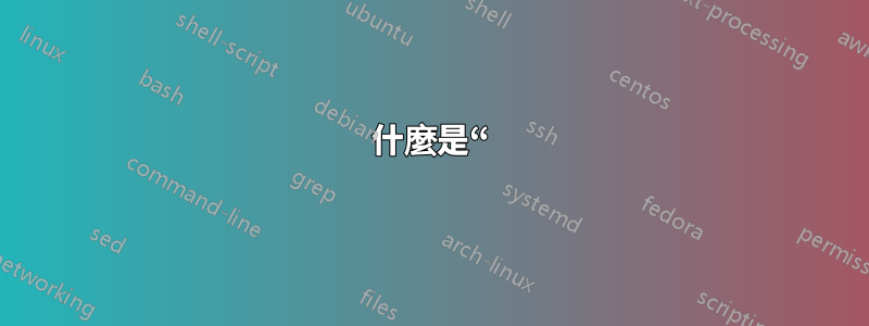 什麼是“