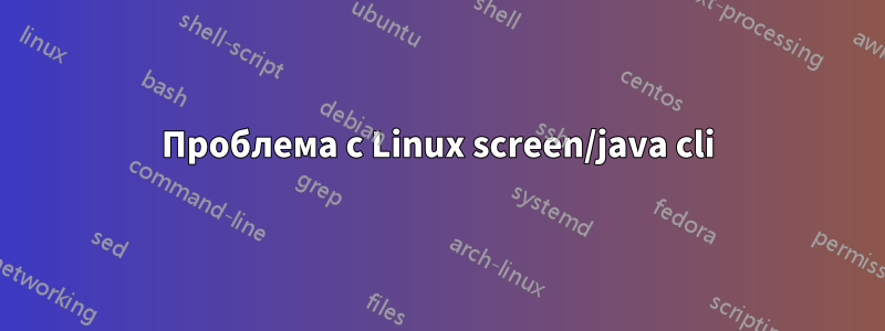 Проблема с Linux screen/java cli