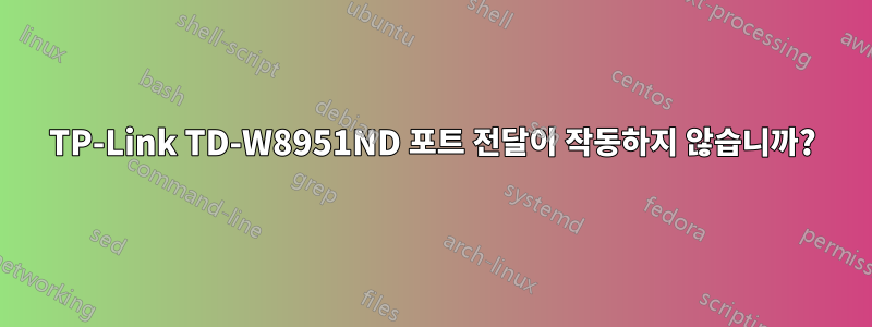 TP-Link TD-W8951ND 포트 전달이 작동하지 않습니까?