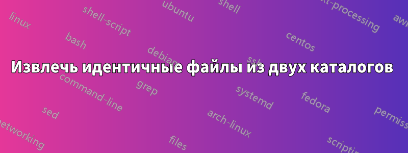 Извлечь идентичные файлы из двух каталогов