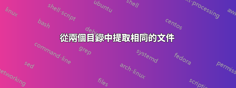 從兩個目錄中提取相同的文件