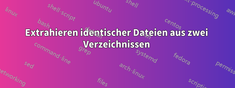 Extrahieren identischer Dateien aus zwei Verzeichnissen